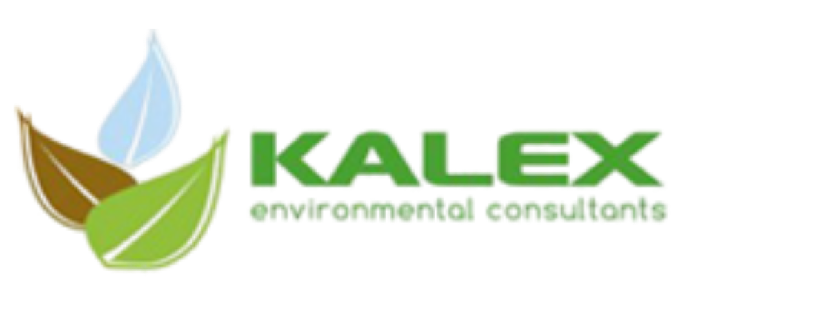 Kalex logo